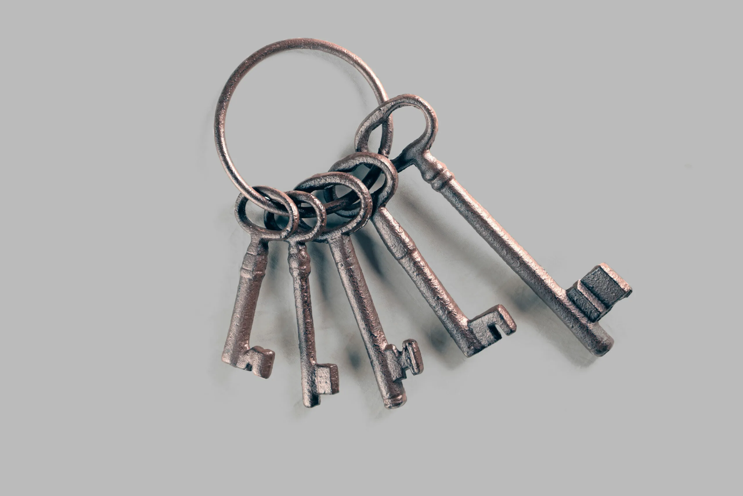 Accés obert i divulgació